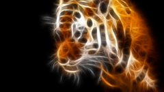Animals Tigers Fractalius