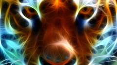 Animals Tigers Fractalius