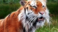 Animals Tigers Fractalius
