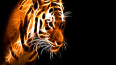 Animals Tigers Fractalius black