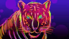 Animals Tigers Little Pixie