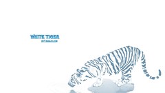 Animals Tigers reflections