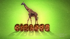 Animals Typography Giraffes green background