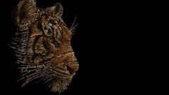Animals Typography Tigers creativity typographic portrait