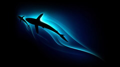 Animals vector whale 1600x1200