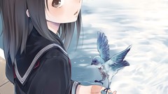 Animals water Birds sitting schoolgirls skirts blush long hair 