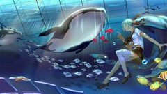 Animals water bubbles fish aquarium jellyfish goldfish navel 