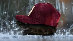 Animals water rain cap weather