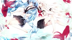 Animals water text fish goldfish navel white hair water drops 