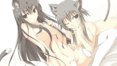 Animals white anime girls nekomimi tails