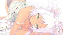 Animals white cats glasses white hair anime girls green eyes 