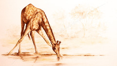 Animals wildlife sepia drawings