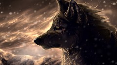 Animals Wolves