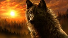 Animals Wolves