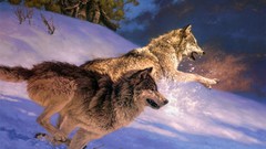 Animals Wolves artwork