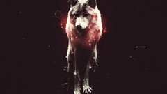 Animals Wolves artwork
