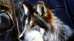 Animals Wolves Fractalius
