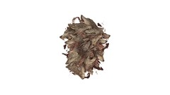 Animals Wolves minimalistic Simple Background