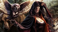 Animals woman Bears Wolves long hair corset braids Owls 