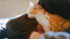 Animals woman cats sleeping brunettes pets domestic cat