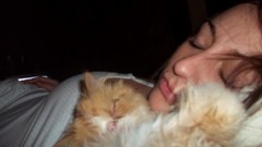 Animals woman cats sleeping chest