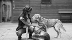 Animals woman Dogs friendship