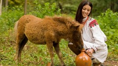 Animals woman drinks models jars ponies donkey