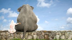 Animals woman Friends