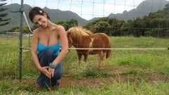 Animals woman Hawaii fences outdoors smiling denise milani 