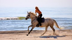 Animals woman Horses