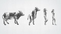 Animals woman paintings Evolution funny Cows