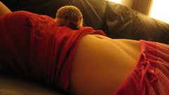 Animals woman stomach hedgehogs