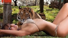 Animals woman Tigers brunettes models wildlife bikini FHM 