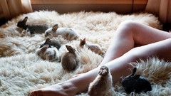 Animals woman wool legs Bunnies body parts Woolen