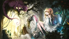 Anime Alice Alice in Wonderland artwork Chesire