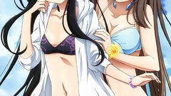 Anime anime girls accel world bikini kuro yuki hime Kurasaki 