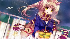 Anime anime girls animal ears