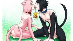 Anime anime girls animal ears