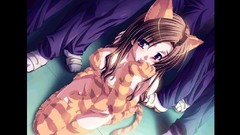 Anime anime girls animal ears catsuits