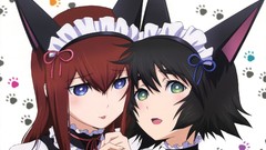 Anime anime girls animal ears makise kurisu steins gate shiina 
