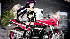Anime anime girls animal ears motorbikes