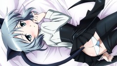 Anime anime girls animal ears strike witches sanya v litvyak