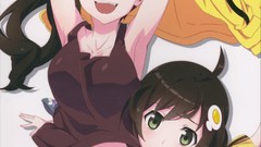 Anime anime girls araragi karen nisemonogatari Araragi Tsukihi