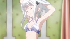 Anime anime girls artwork highschool dxd