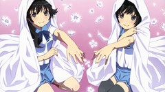 Anime anime girls bakemonogatari araragi karen 