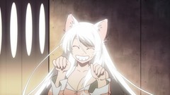 Anime anime girls bakemonogatari hanekawa tsubasa nekomimi 