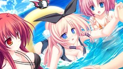 Anime anime girls bikini