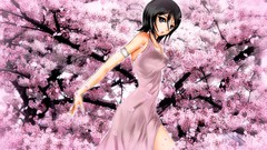 Anime anime girls bleach cherry blossoms kuchiki rukia