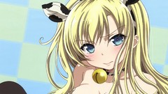 Anime anime girls boku wa tomodachi ga sukunai kashiwazaki sena