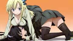 Anime anime girls boku wa tomodachi ga sukunai kashiwazaki sena 